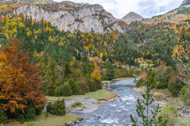 Huesca - valle de Bujaruelo 12 - rio Ara.jpg